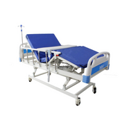 Cama hospitalaria Eléctrica Premium