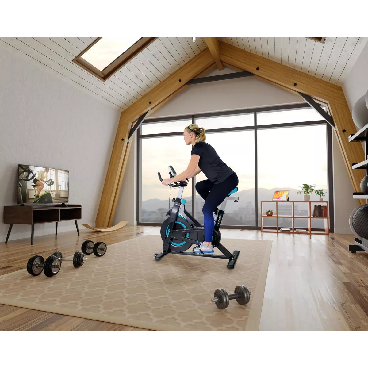 Bicicleta Estatica con Volante de Inercia 6 kg