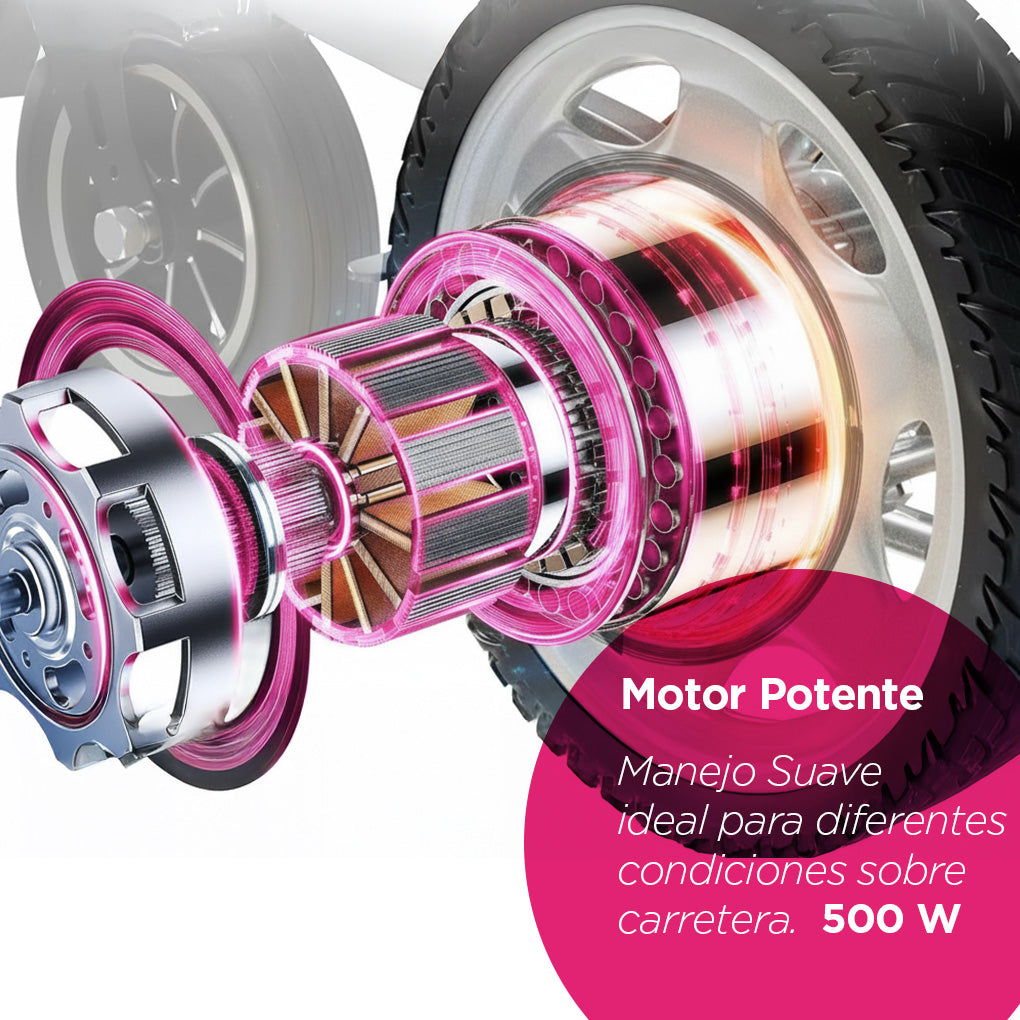 Silla de Ruedas Eléctrica Behring