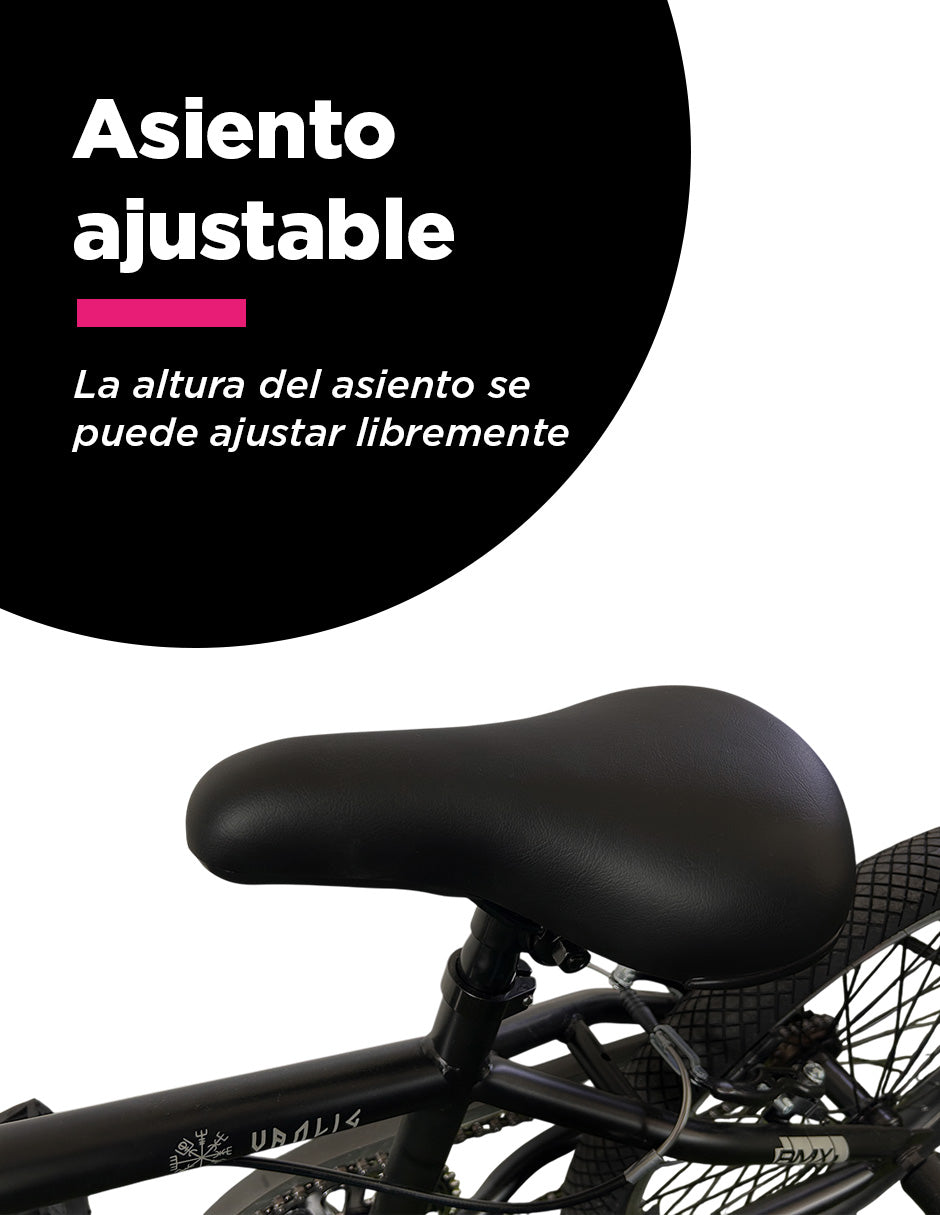 Bicicleta BMX Freestyle Vanlig Rodado 20"