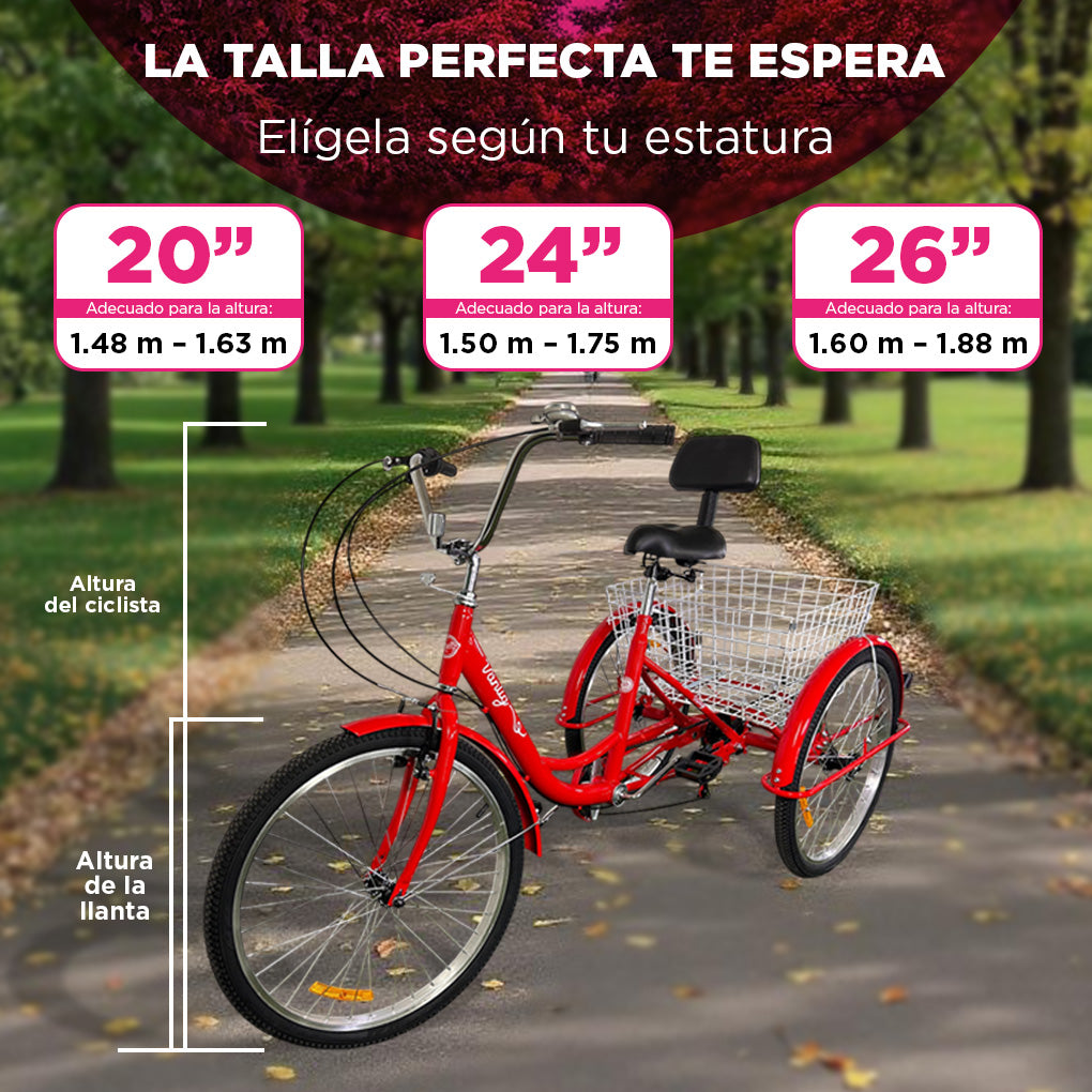 Bicicleta Triciclo para Adultos con Cesta | Cuadro 24" | Color Rojo