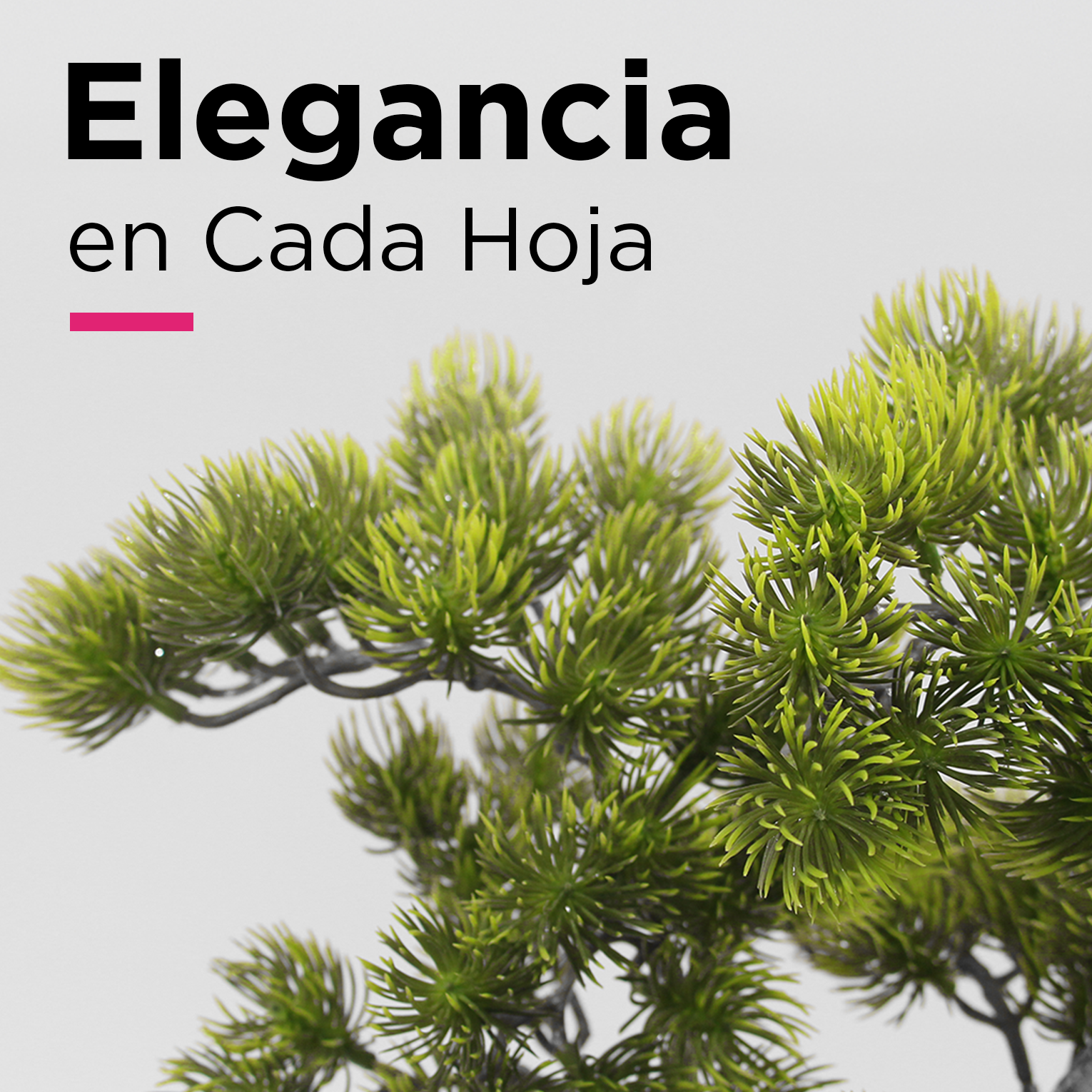Bonsai Artificial 50cm Planta de Decoración