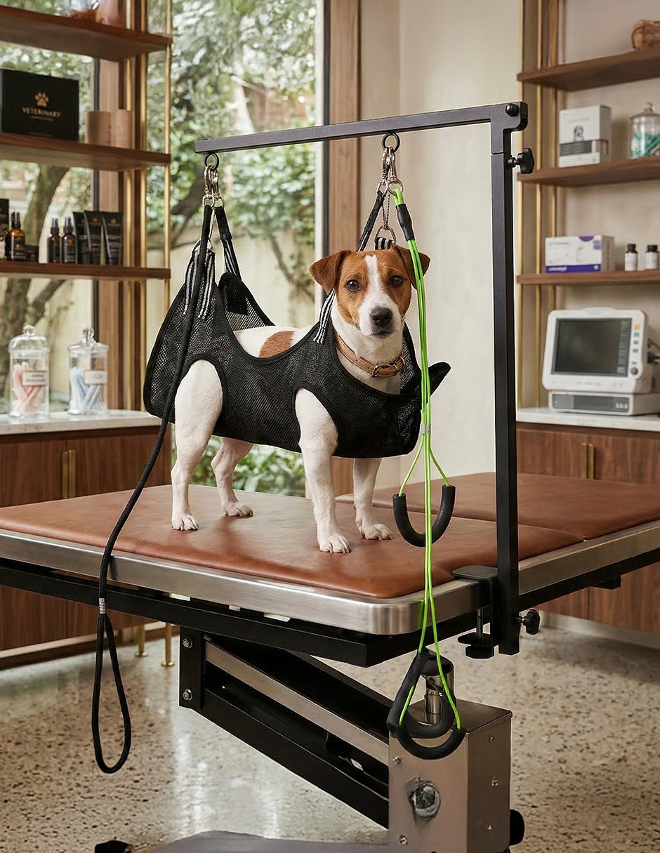 Soporte de Grooming Vanlig Jack Russell - Kit de Sujeción con Hamaca y Soportes