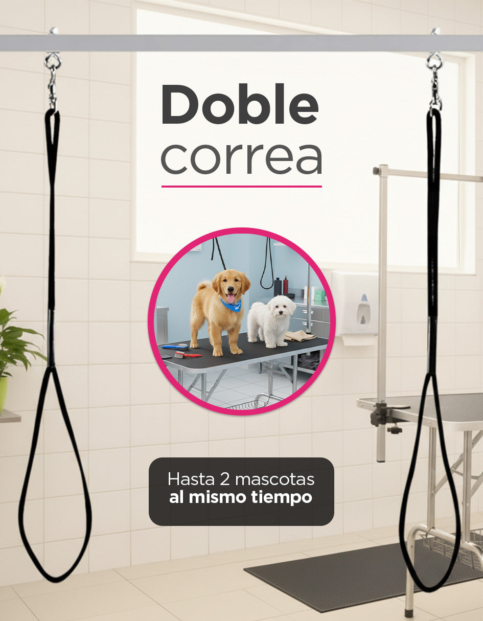 Estación de Estética Canina y Veterinaria Bernese Profesional Doble Correa Doble