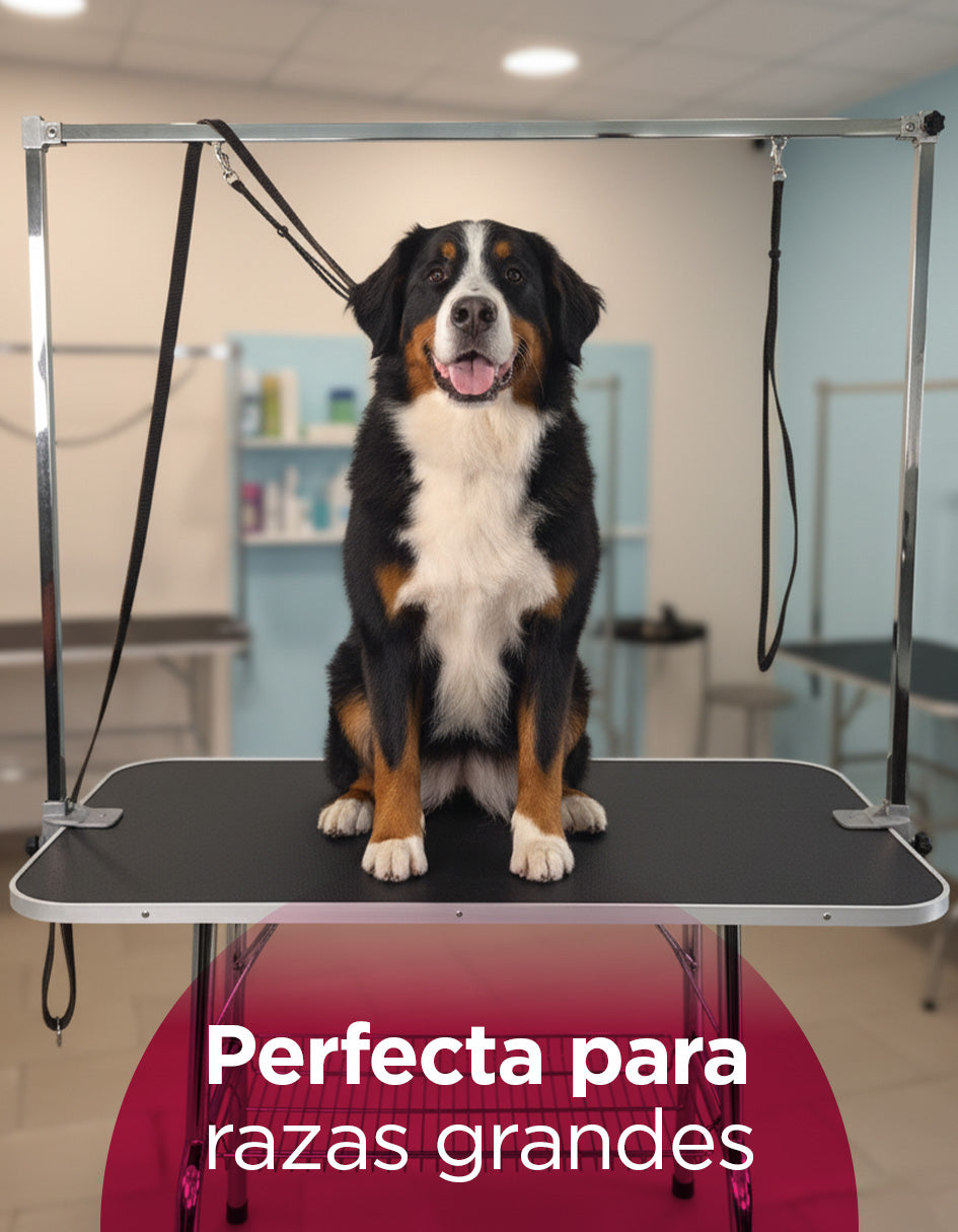 Estación de Estética Canina y Veterinaria Bernese Profesional Doble Correa Doble