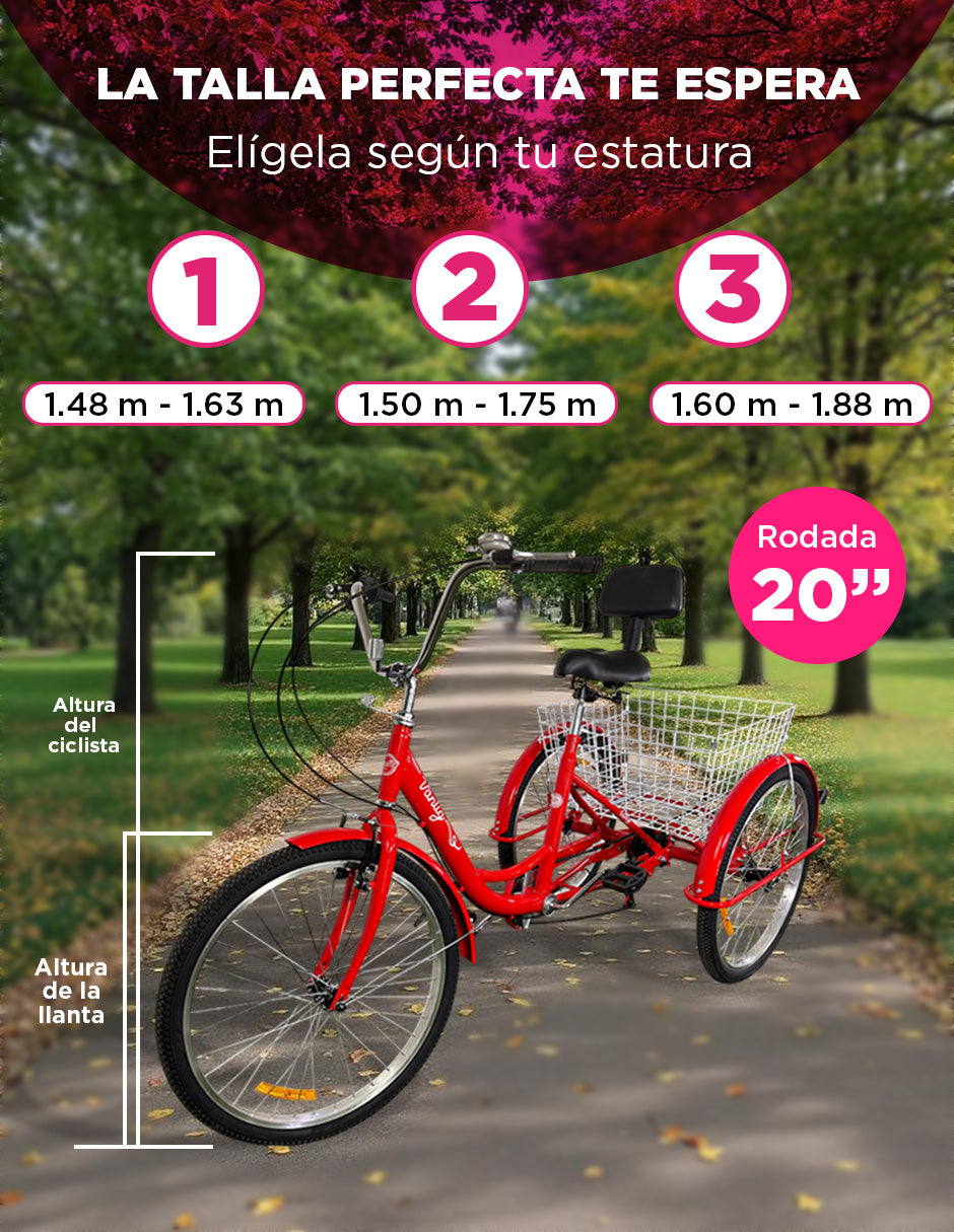 Bicicleta Triciclo para Adultos con Cesta | Cuadro 20" | Color Rojo