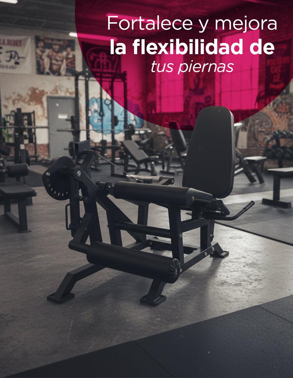 Máquina de Extensión y Curl de Piernas FlexiLeg Vanlig - Banco Ajustable para Cuádriceps y Femoral