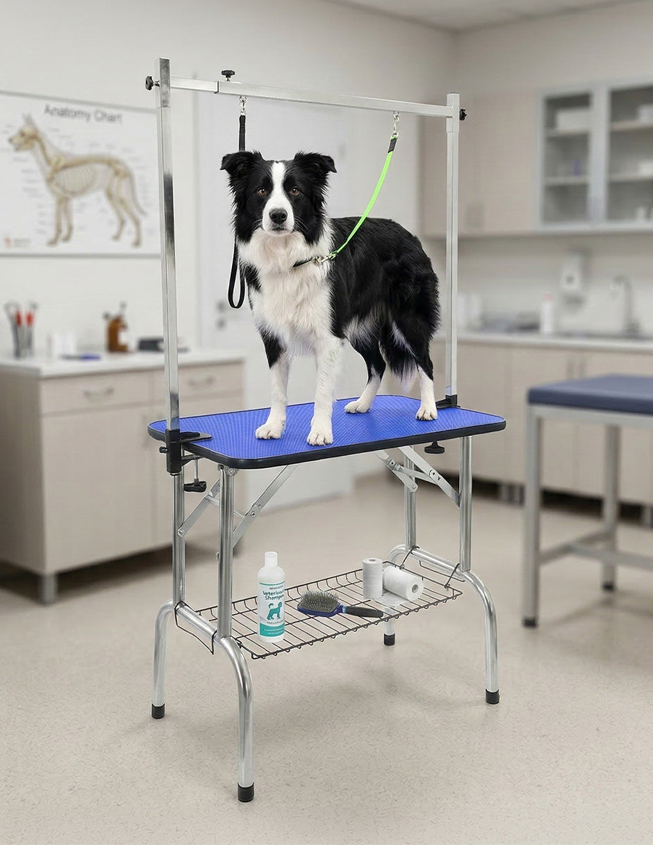 Mesa Profesional Azul Border Collie para Grooming Canina - Superficie de 80 cm con Doble Correa y Bandeja de Herramientas