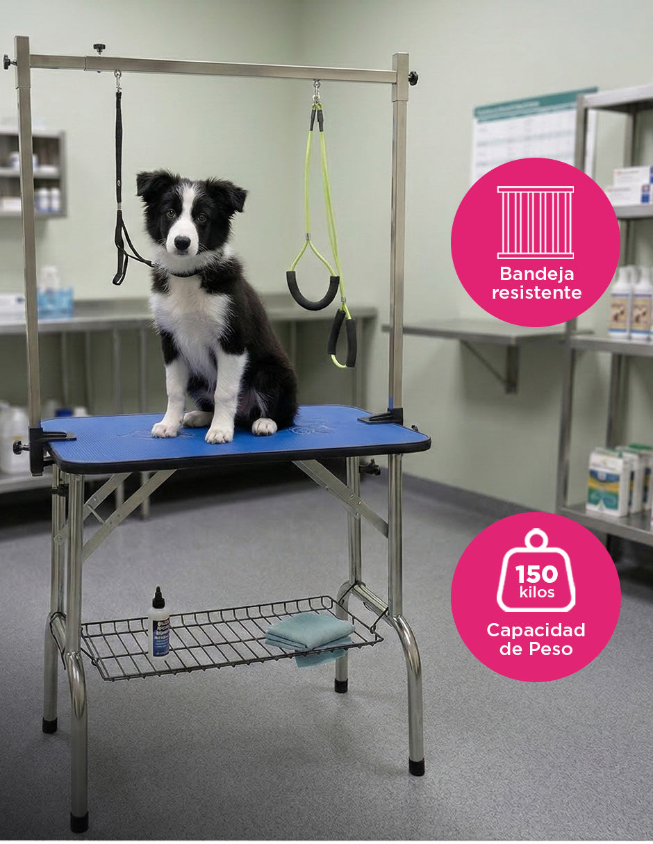 Mesa Profesional Azul Border Collie para Grooming Canina - Superficie de 80 cm con Doble Correa y Bandeja de Herramientas