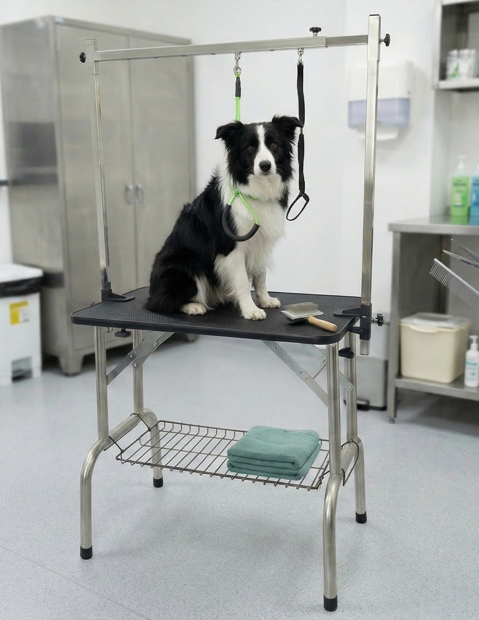 Mesa Profesional Negra Border Collie para Grooming Vanlig - Superficie de 80 cm con Doble Correa y Bandeja de Herramientas