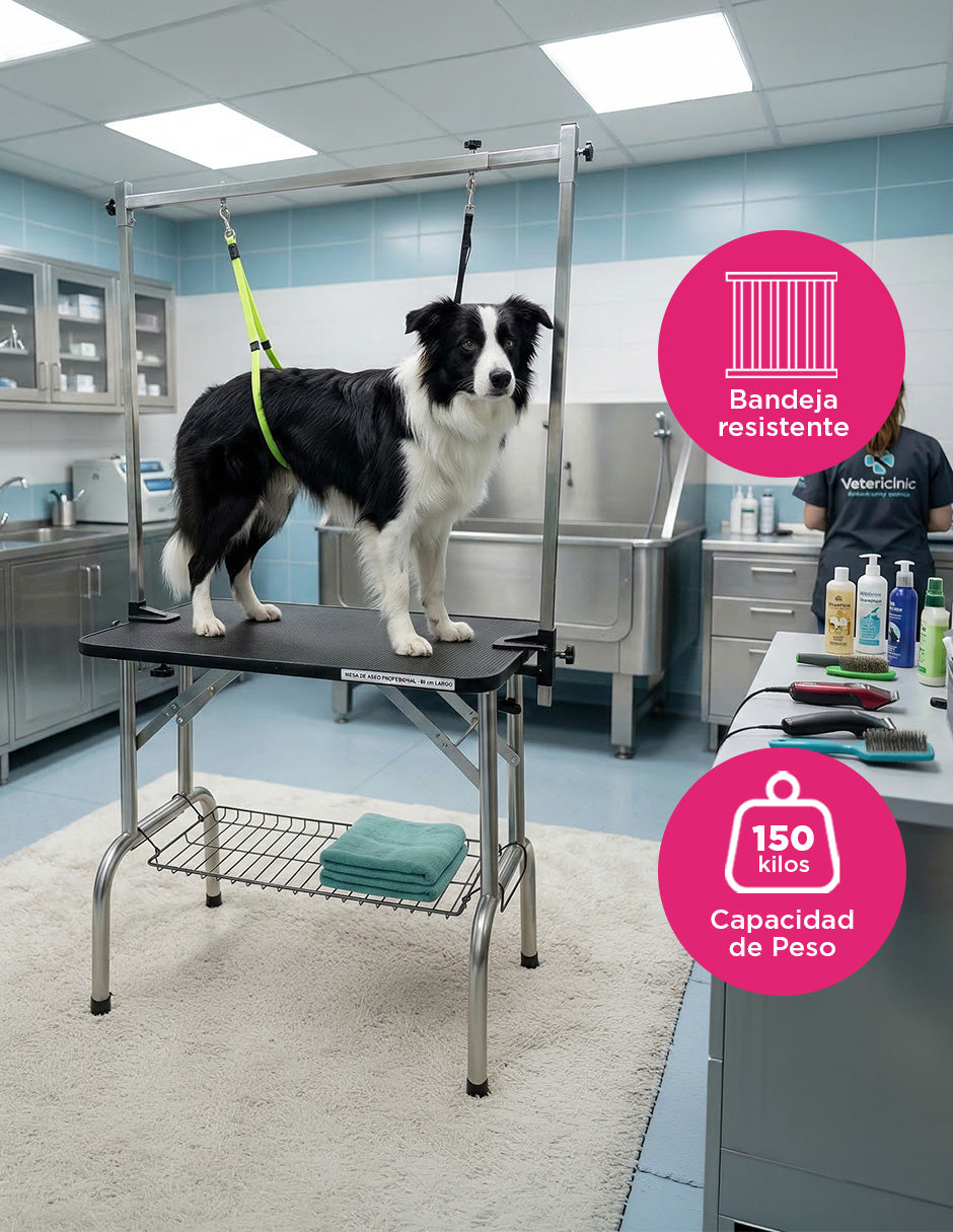 Mesa Profesional Negra Border Collie para Grooming Vanlig - Superficie de 80 cm con Doble Correa y Bandeja de Herramientas