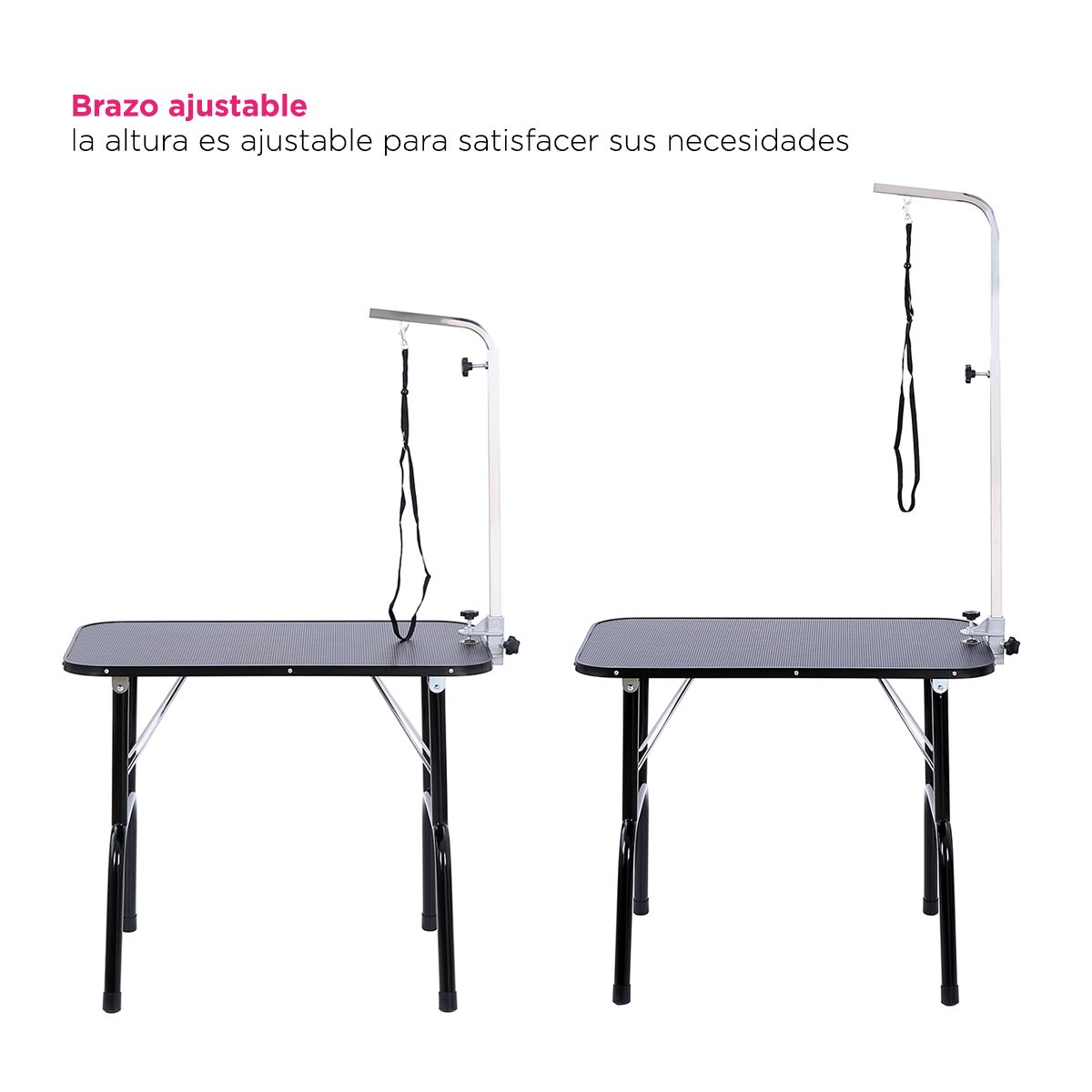 Mesa de Exploración y Estética Canina Yorkshire de Vanlig: Especial para Razas Pequeñas