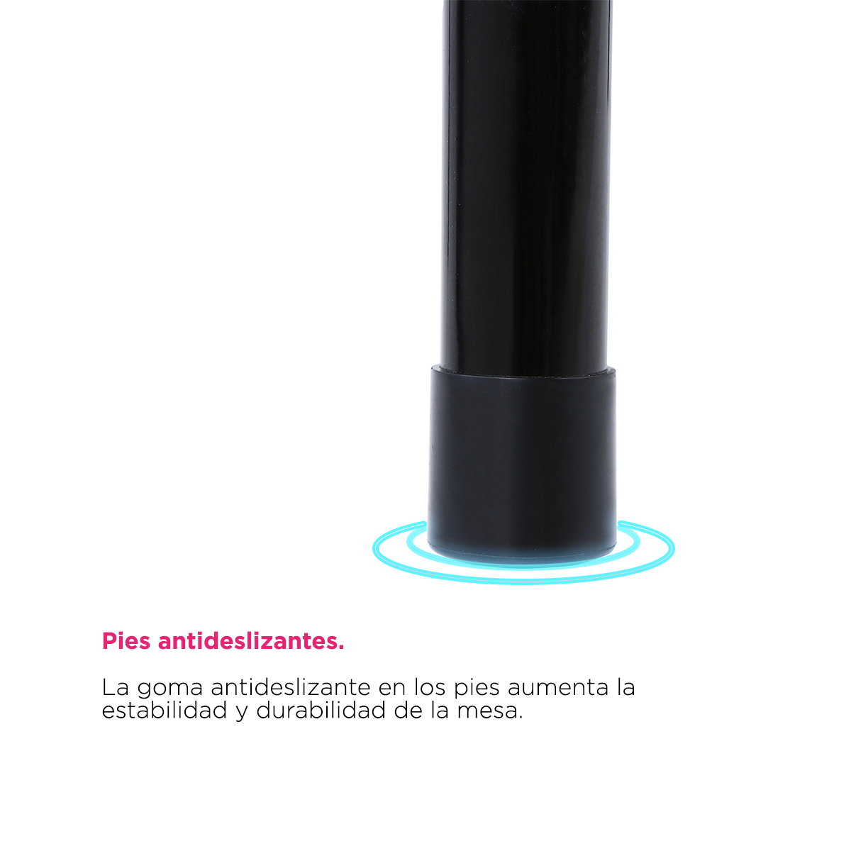 Mesa de Exploración y Estética Canina Yorkshire de Vanlig: Especial para Razas Pequeñas