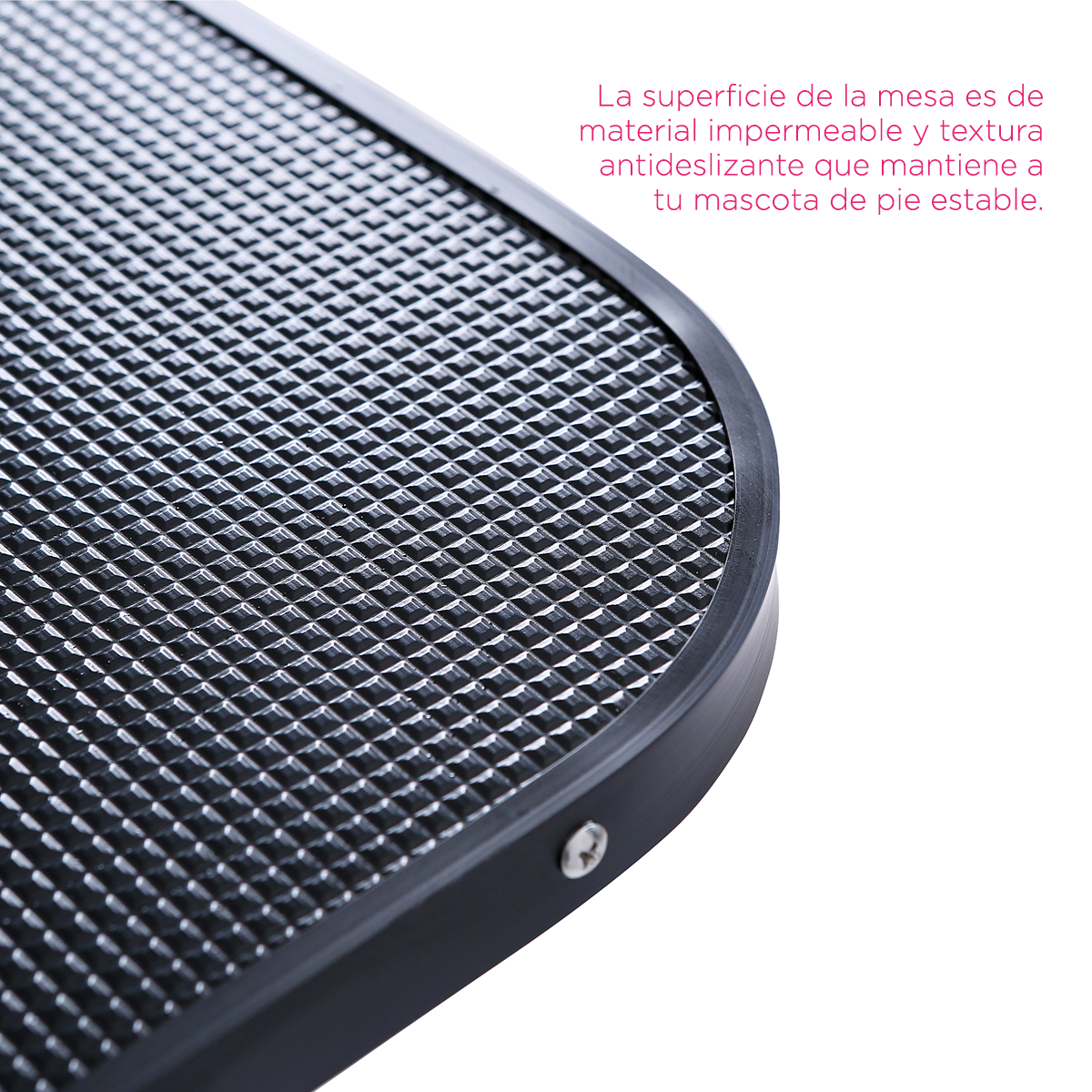 Mesa de Exploración y Estética Canina Yorkshire de Vanlig: Especial para Razas Pequeñas