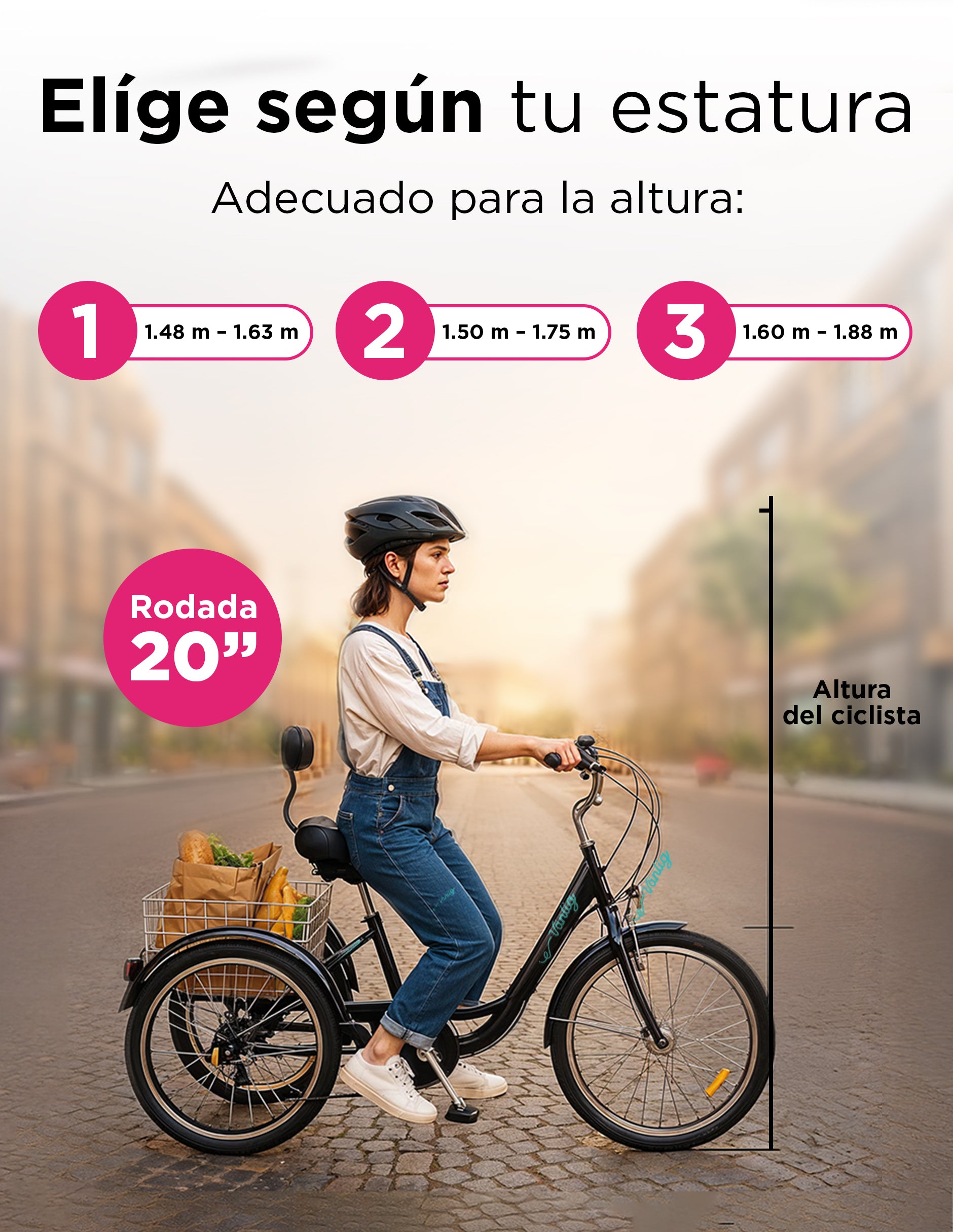 Bicicleta Triciclo para Adultos con Cesta | Cuadro 20" | Color Negro