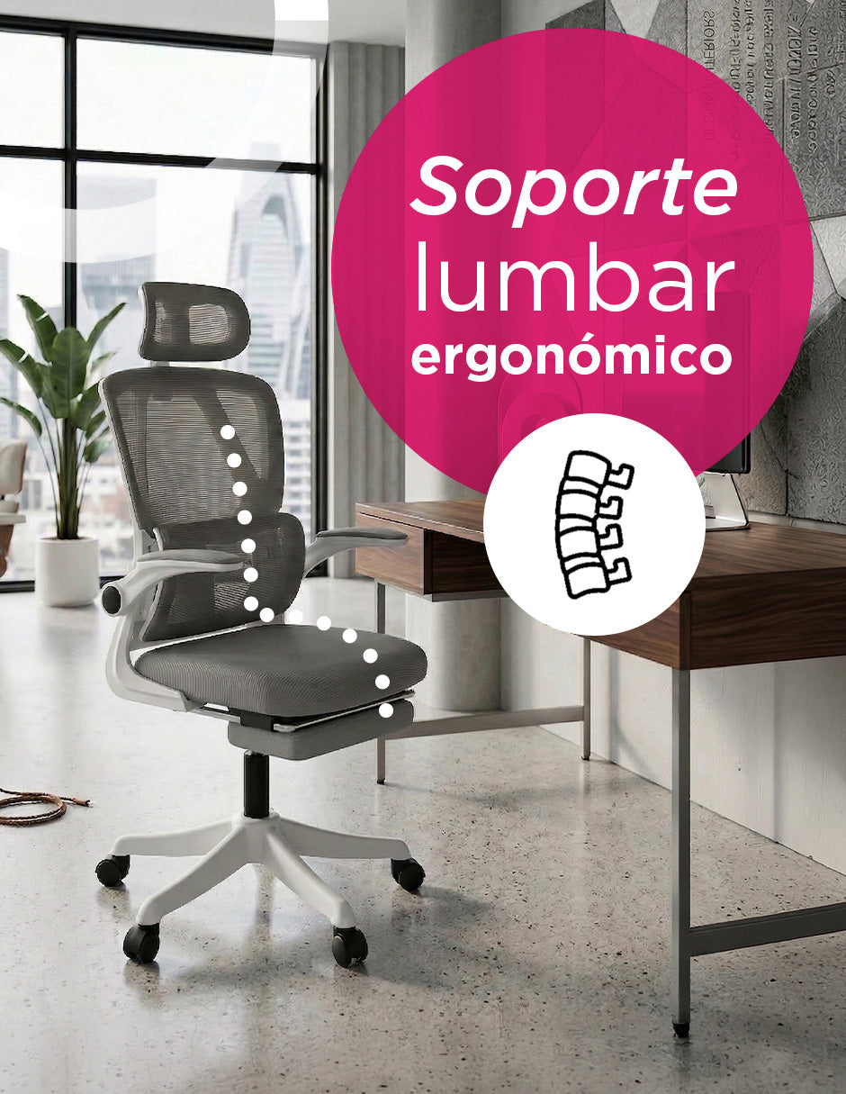 Silla De Oficia Ejecutiva Con Reposacabeza, Soporte Lumbar Descansapie Neutra Gris