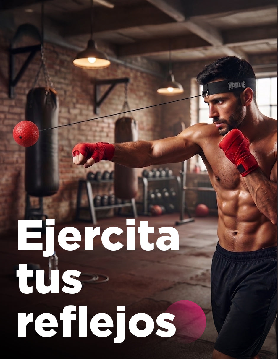 Pelota de Reflejos para Boxeo Diadema Ajustable Kaiju Vanlig
