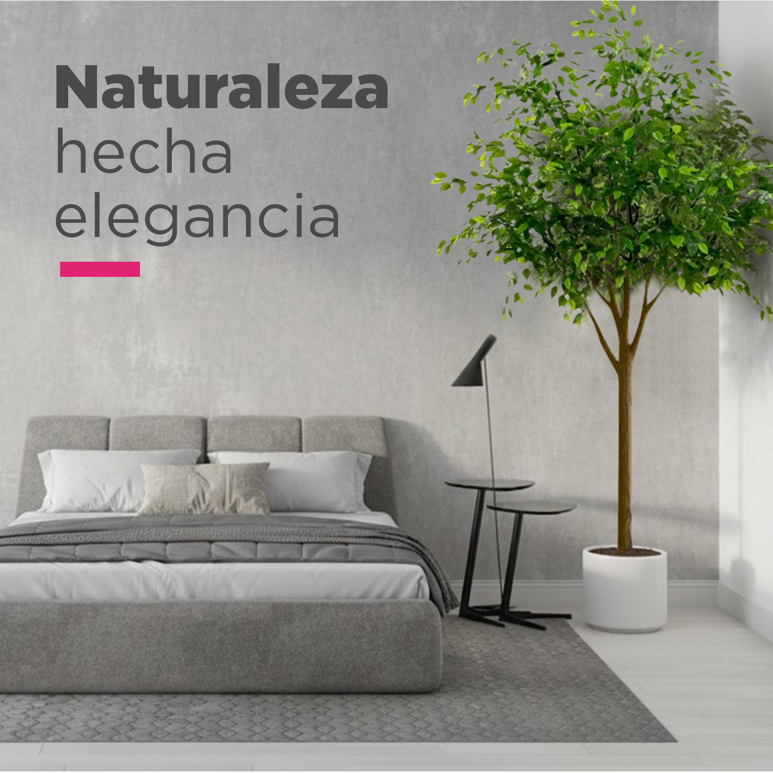 Planta Artificial Ficus 250cm Arbol Pandurata