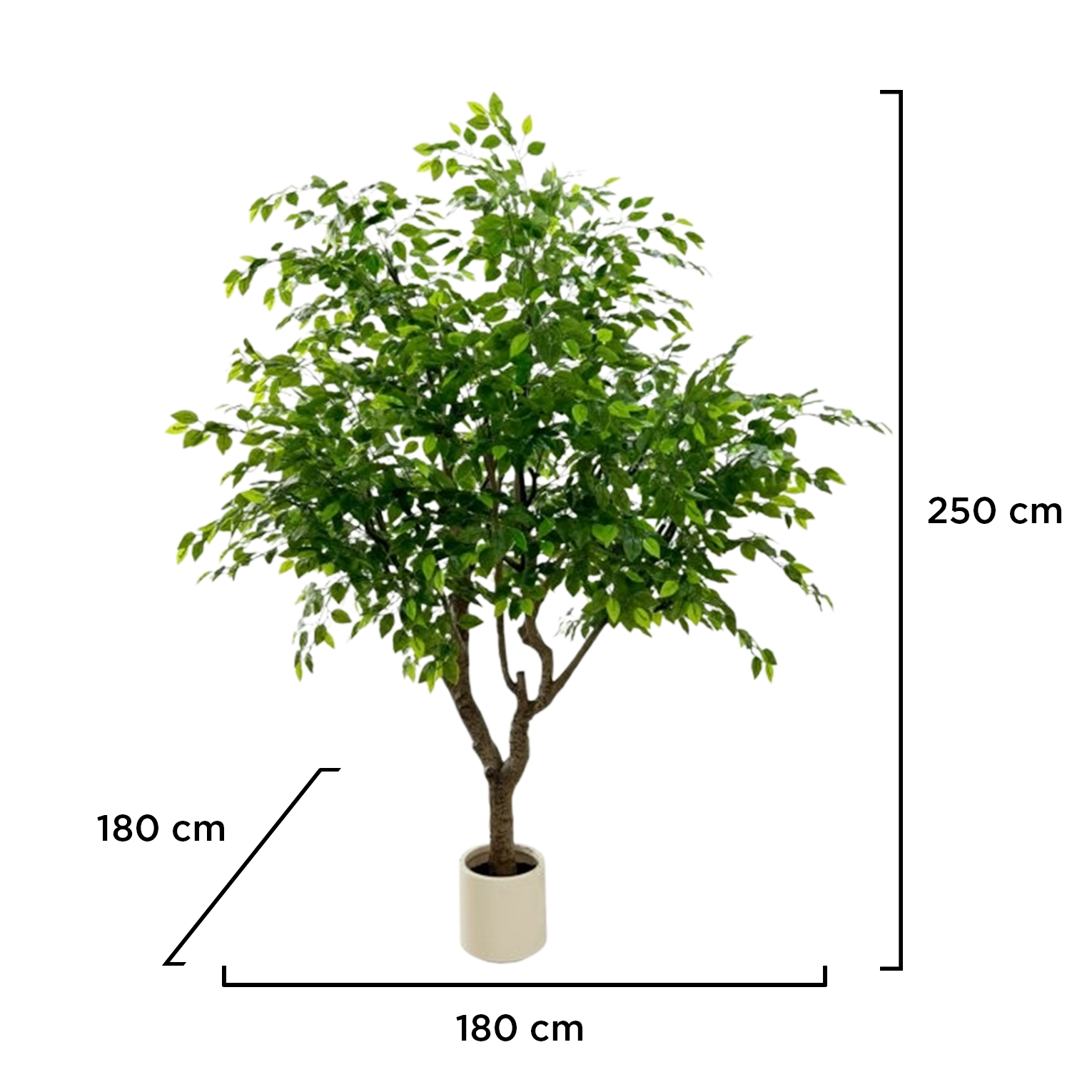 Planta Artificial Ficus 250cm Arbol Pandurata
