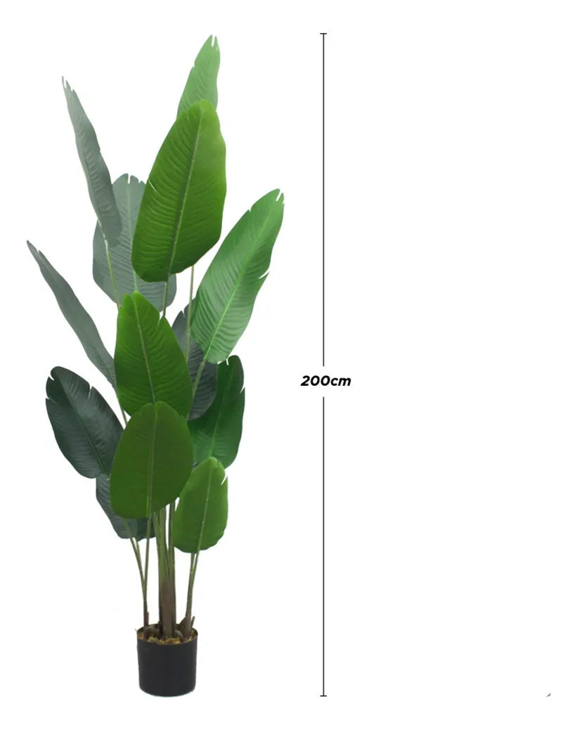 palma planta Planta Artificial Palma de Viajero Decorativa 2m Vanlig – vanligmx