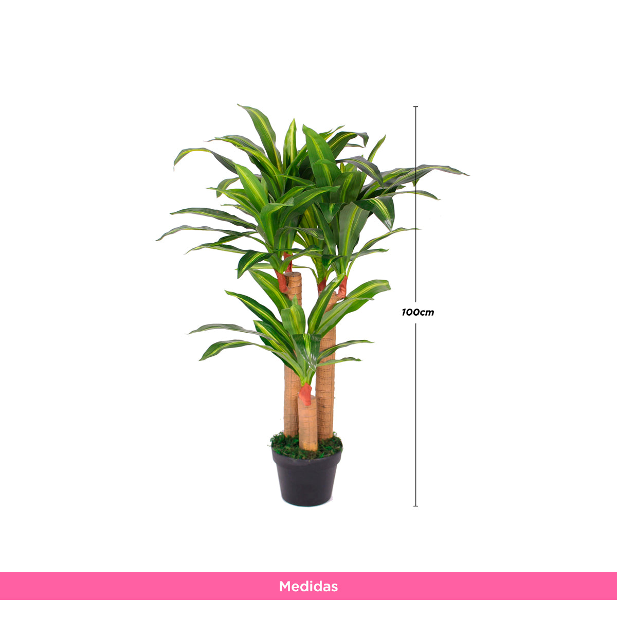Planta Artificial Palo de Brasil 100 cm