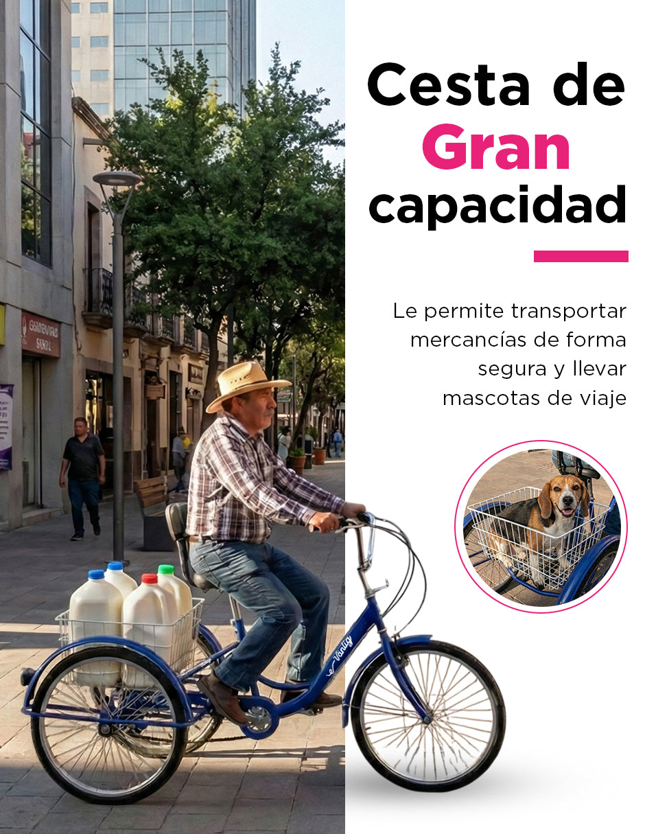 Triciclo para Adultos Color Azul de Vanlig R24 - Bicicleta de 3 Ruedas con 7 Velocidades Shimano y Canasta