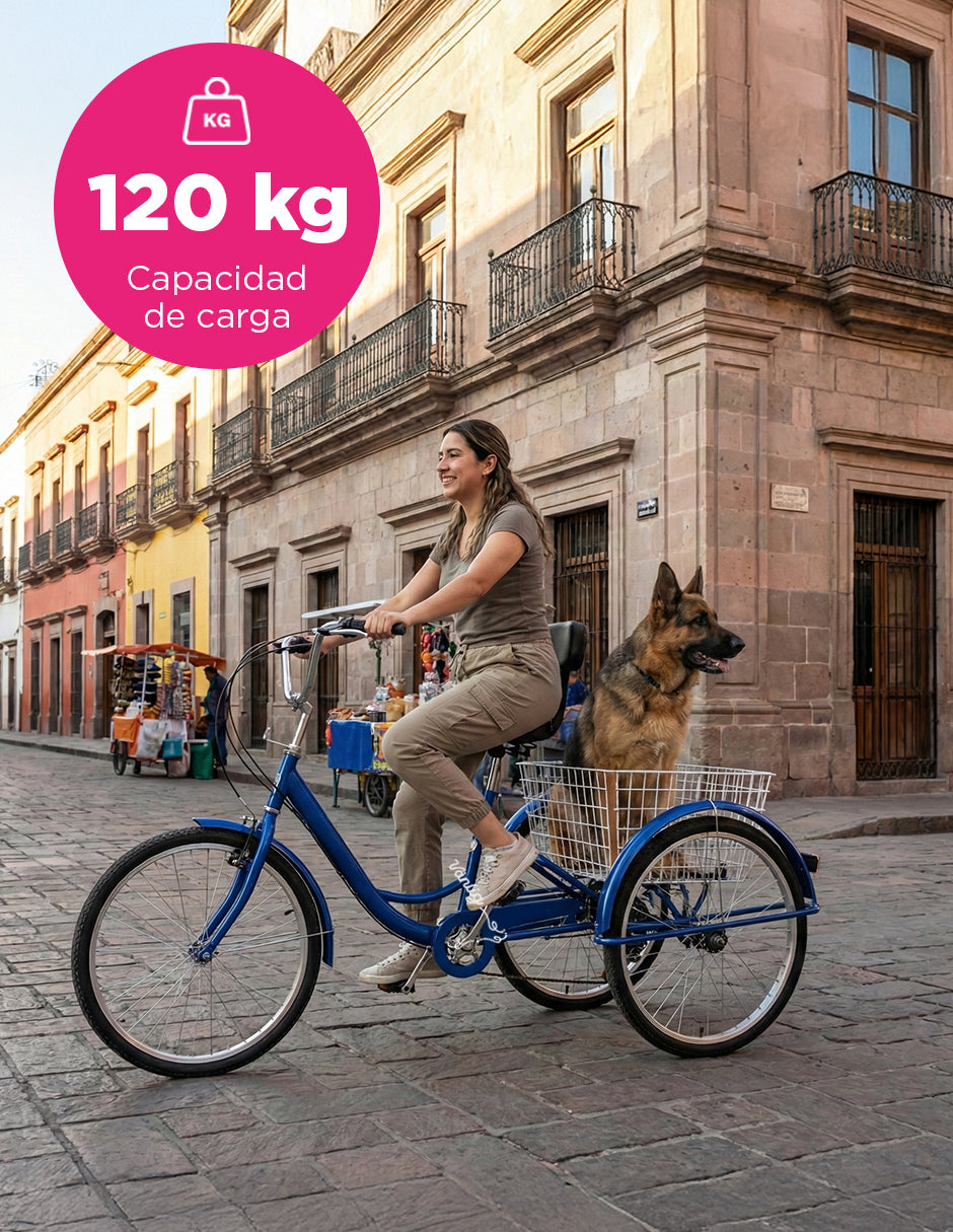 Triciclo para Adultos Color Azul de Vanlig R24 - Bicicleta de 3 Ruedas con 7 Velocidades Shimano y Canasta
