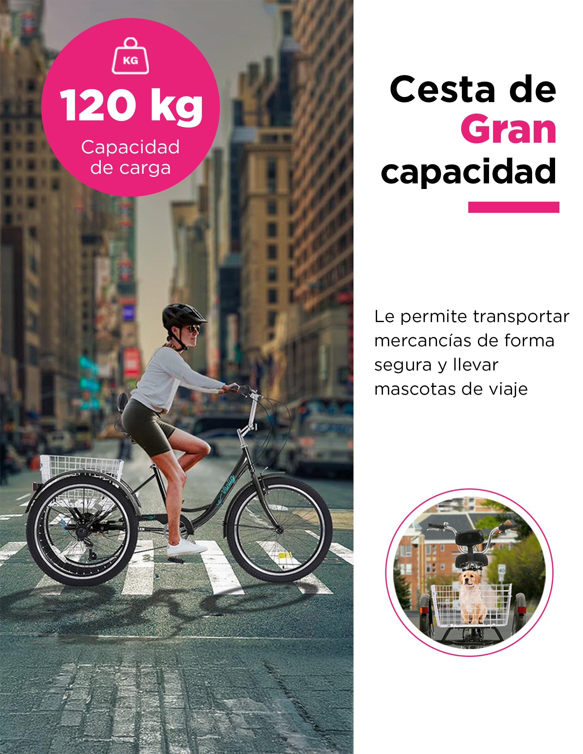 Triciclo para Adultos Color Negro de Vanlig R24 - Bicicleta de 3 Ruedas con 7 Velocidades Shimano y Canasta