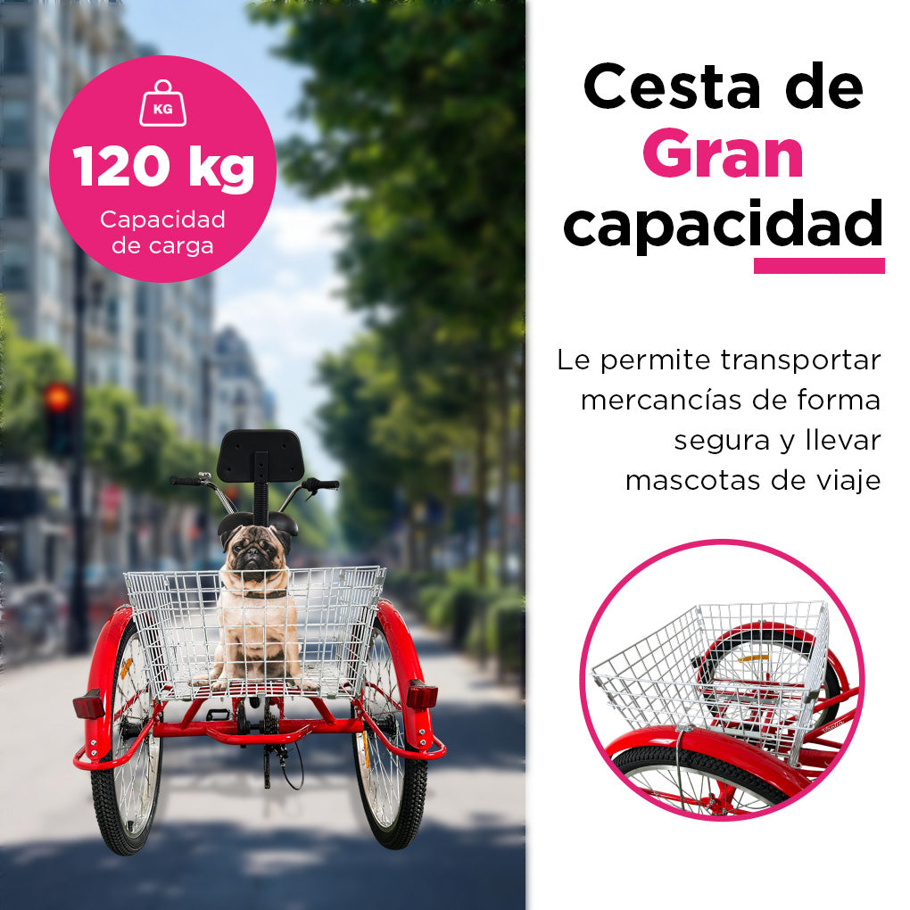Triciclo para Adultos Color Rojo de Vanlig R24 - Bicicleta de 3 Ruedas con 7 Velocidades Shimano y Canasta