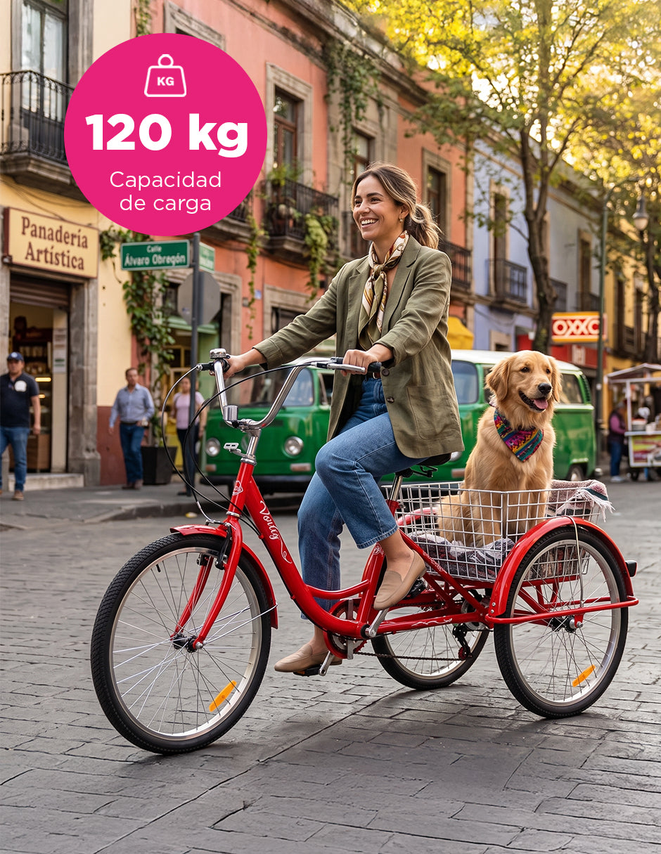 Triciclo para Adultos Color Rojo de Vanlig R24 - Bicicleta de 3 Ruedas con 7 Velocidades Shimano y Canasta