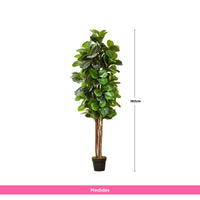 Planta Artificial Árbol Lira 180 cm