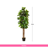 Planta Artificial Árbol Lira 180 cm