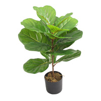 Planta Artificial Ficus Pandurata 60 cm