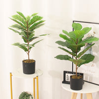 Planta Artificial Ficus Pandurata 60 cm