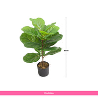 Planta Artificial Ficus Pandurata 60 cm