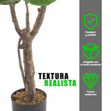 Planta Artificial Ficus Pandurata 145 cm