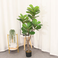 Planta Artificial Ficus Pandurata 145 cm