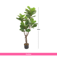 Planta Artificial Ficus Pandurata 145 cm