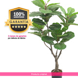 Planta Artificial Ficus Pandurata 115 cm