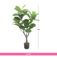 Planta Artificial Ficus Pandurata 115 cm