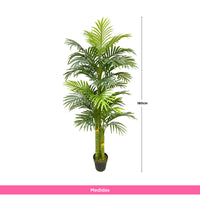 Planta Artificial Palma Areka 180 cm