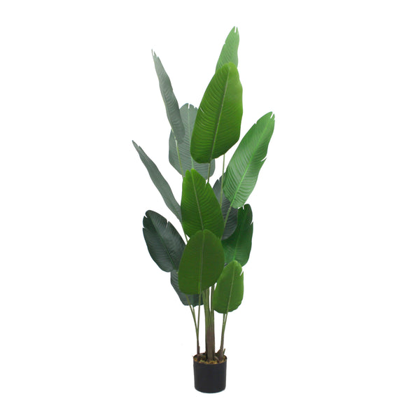 Planta Artificial Palma de Viajero 160 cm