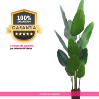 Planta Artificial Palma de Viajero 160 cm