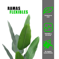 Planta Artificial Palma de Viajero 160 cm