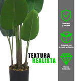 Planta Artificial Palma de Viajero 160 cm