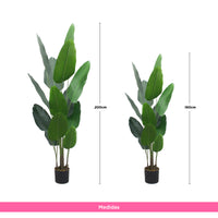 Planta Artificial Palma de Viajero 160 cm