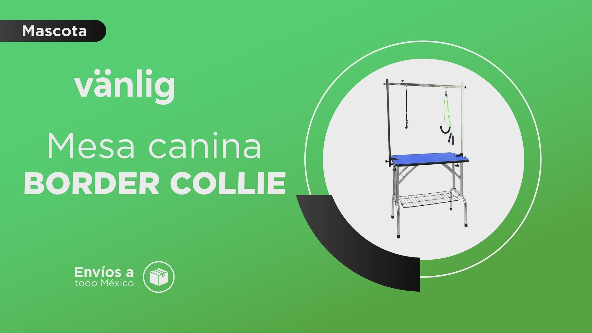 Cargar vídeo: Mesa Profesional Negra Border Collie para Grooming Vanlig - Superficie de 80 cm con Doble Correa y Bandeja de Herramientas
