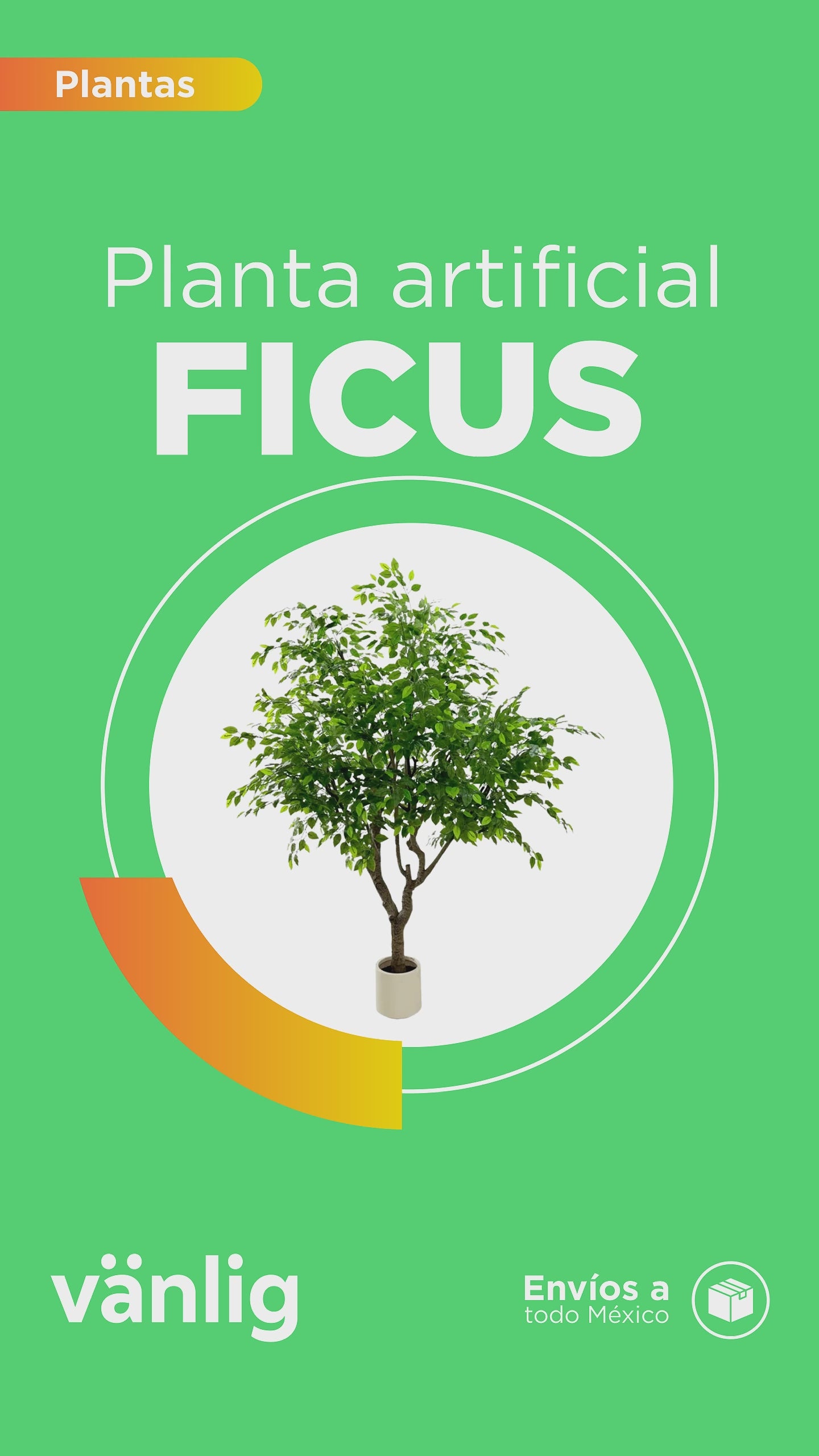Cargar vídeo: Planta Artificial Ficus 250cm Arbol Pandurata