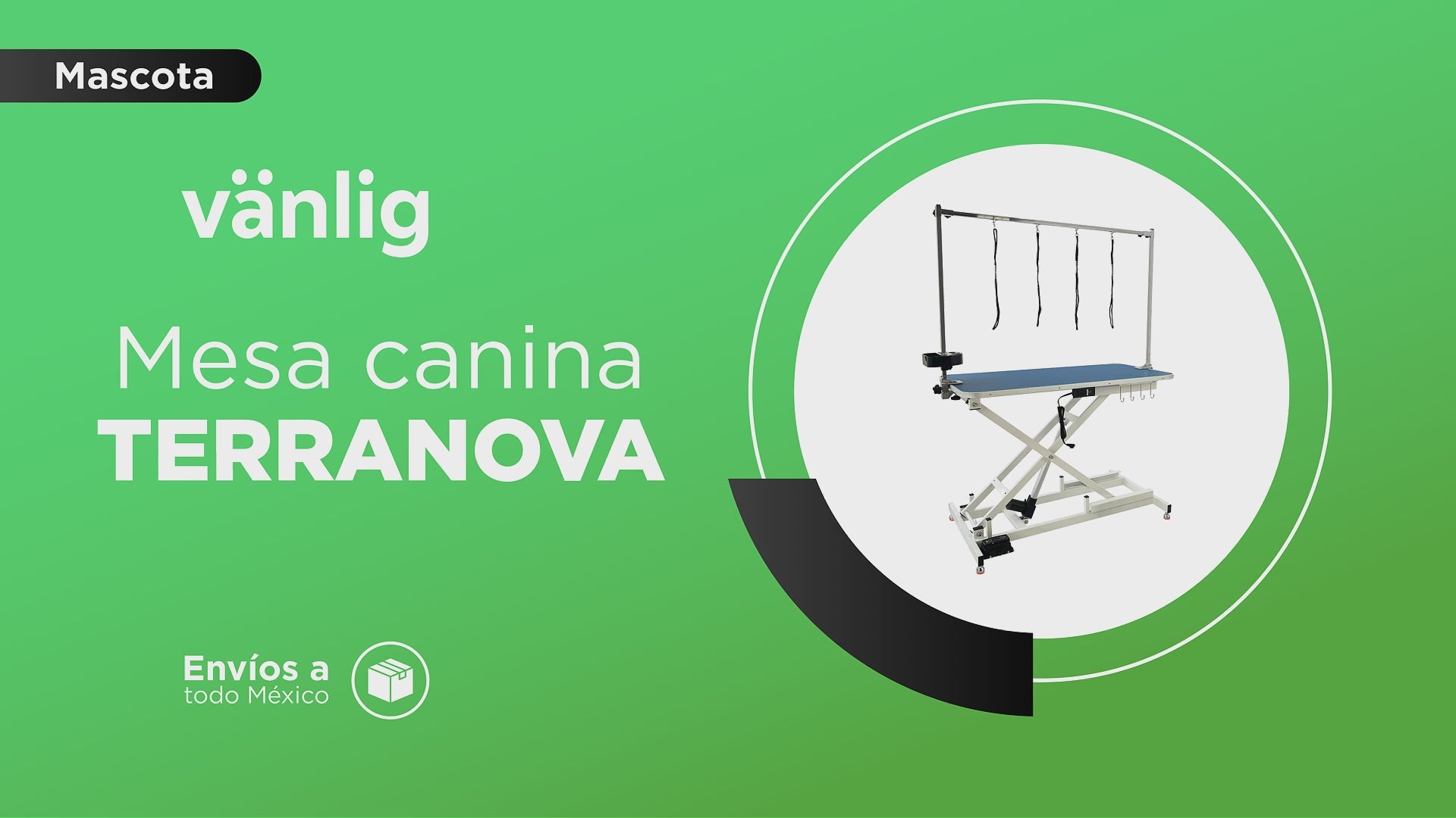 Cargar vídeo: Mesa Eléctrica Terranova para Estética Canina Para Gromming de Vanlig - Altura Ajustable con Pedal, Motor Eléctrico, Puertos USB y Contactos Integrados