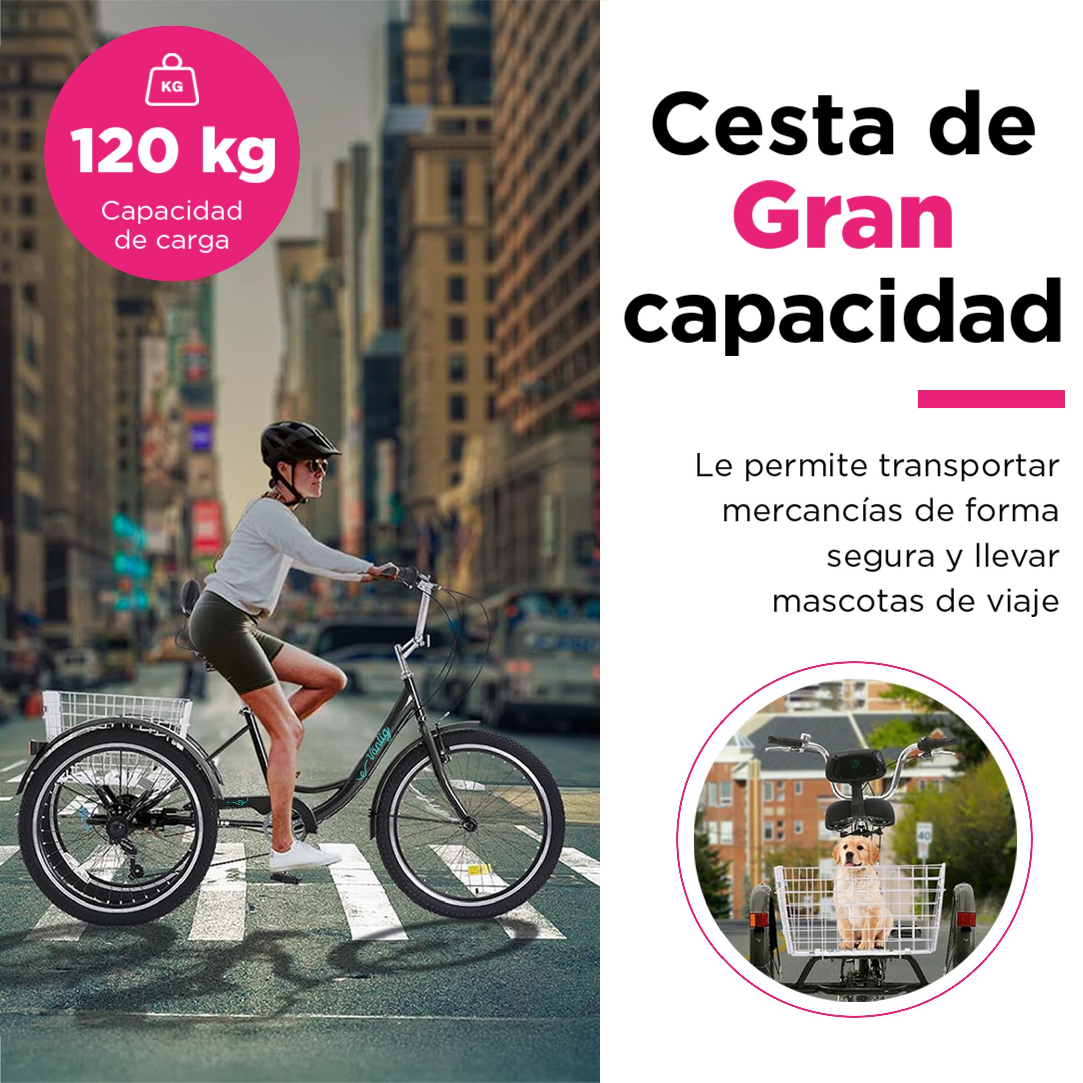 Bicicleta Triciclo para Adultos con Cesta | Cuadro 24" | Color Negro